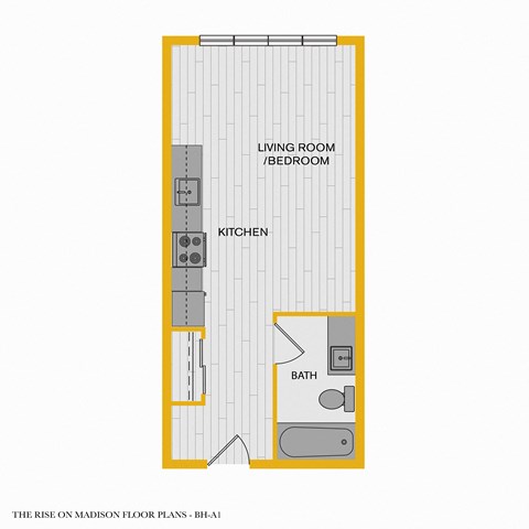 The Rise on Madison Apartments 2D Floorplan - Studio B 60